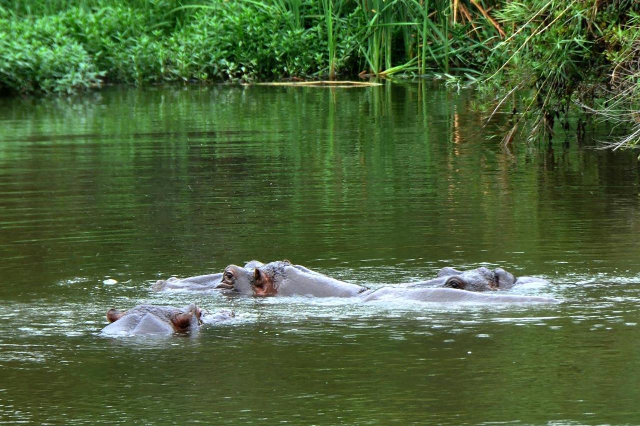 Kruger Park Lodge Unit No. 608A เฮซีวิว ภายนอก รูปภาพ