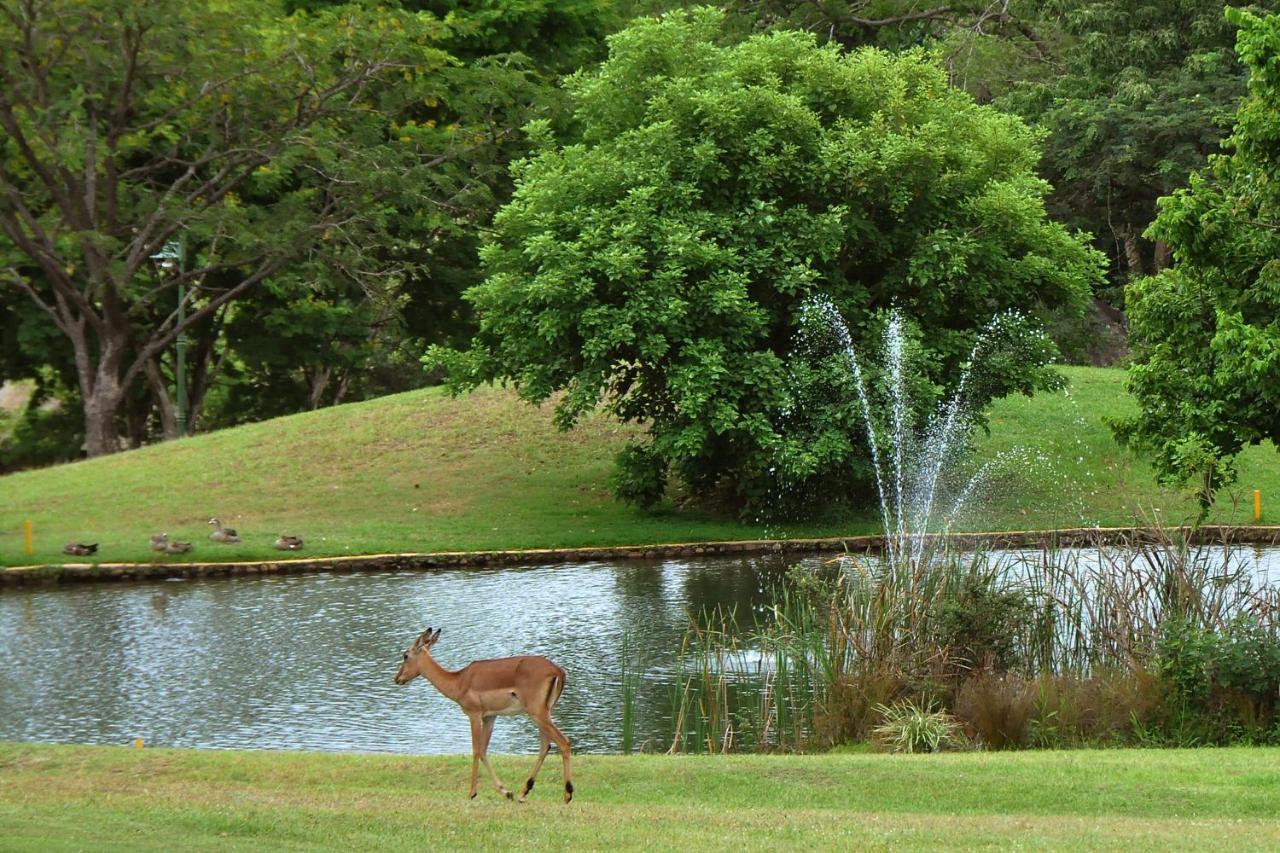 Kruger Park Lodge Unit No. 608A เฮซีวิว ภายนอก รูปภาพ